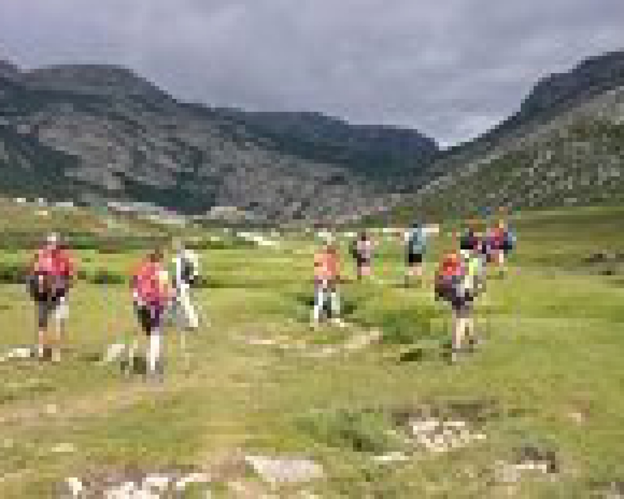 Corsica Natura