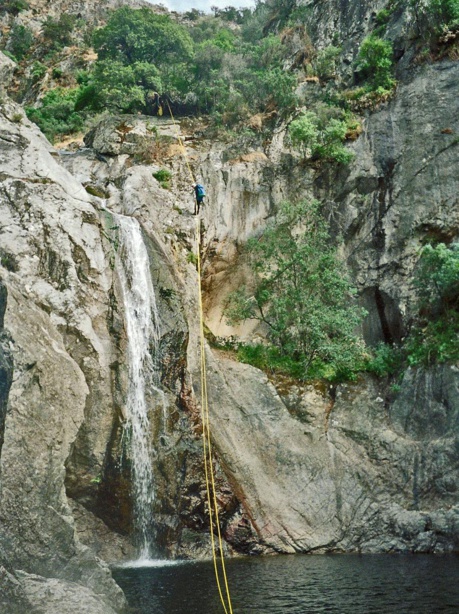 LE SULLEONI LE SULLEONI