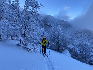 Les montagnes corses ont changé de couleur