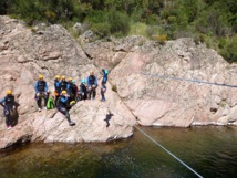 Pont de singe dans la Gravona