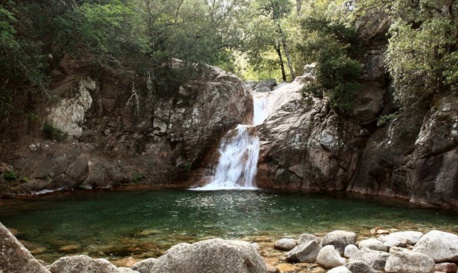 LE PULISCHELLU LE PULISCHELLU