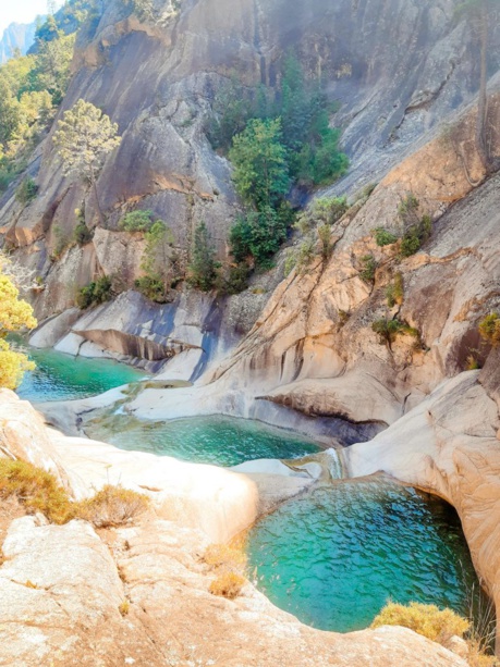 LA PURCARACCIA LA PURCARACCIA