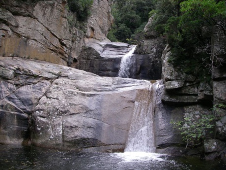 LE VIVAGGIO LE VIVAGGIO