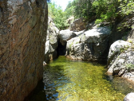 LE VIVAGGIO LE VIVAGGIO