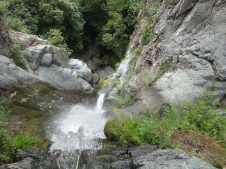 Le Cippetto Le Cippetto