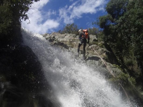 Le Cippetto Le Cippetto