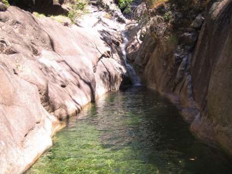 La Leccia Rossa La Leccia Rossa