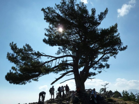 La Corse aux mille facettes La Corse aux mille facettes