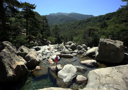 Forêt de Vizzavona Forêt de Vizzavona