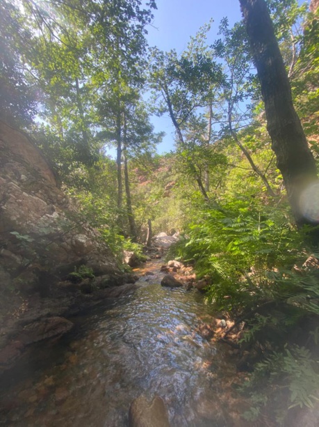 Où séjourner en Corse pour faire du canyoning avec Canyon Corse