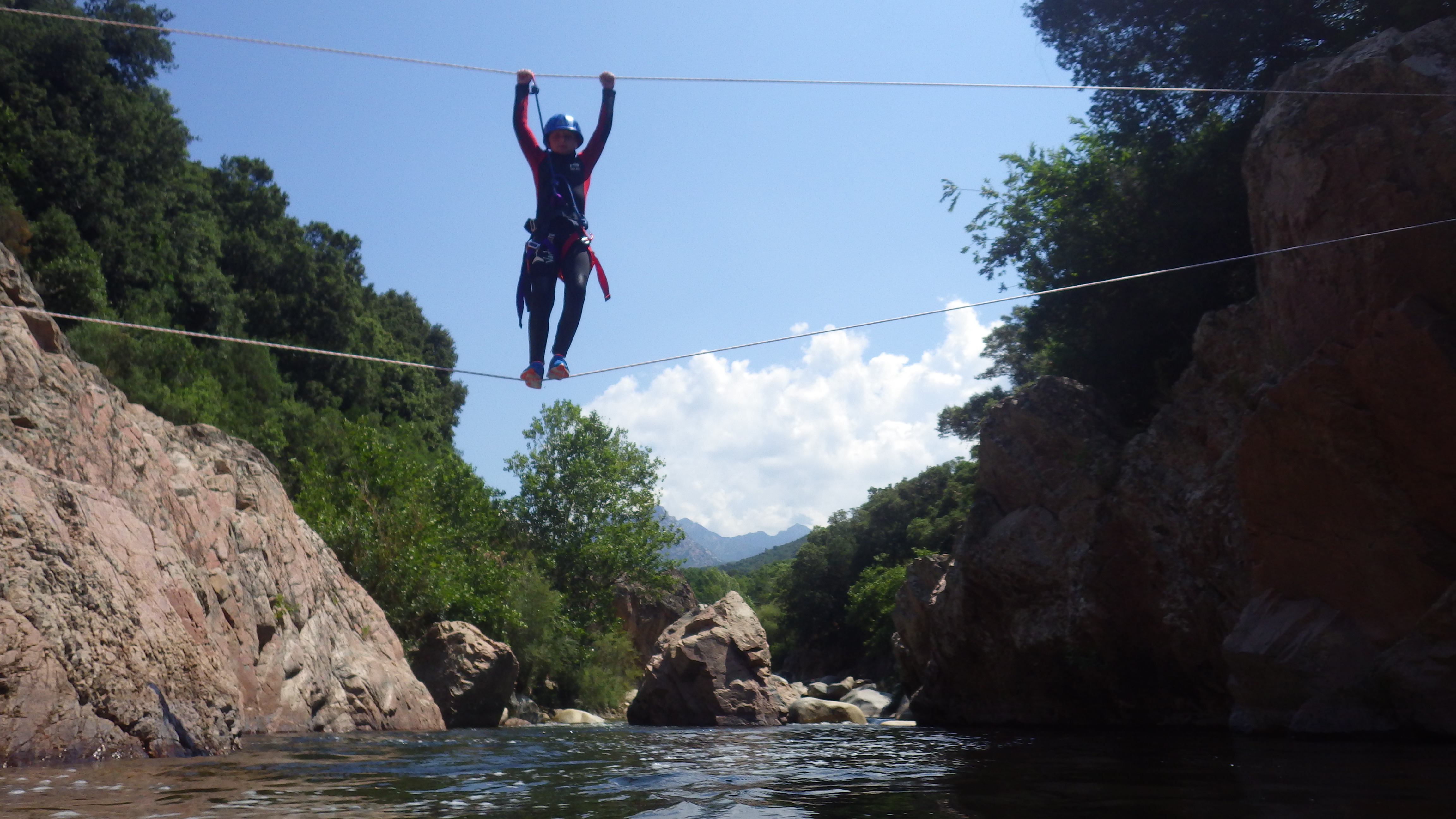 Pont de singe dans la Gravona