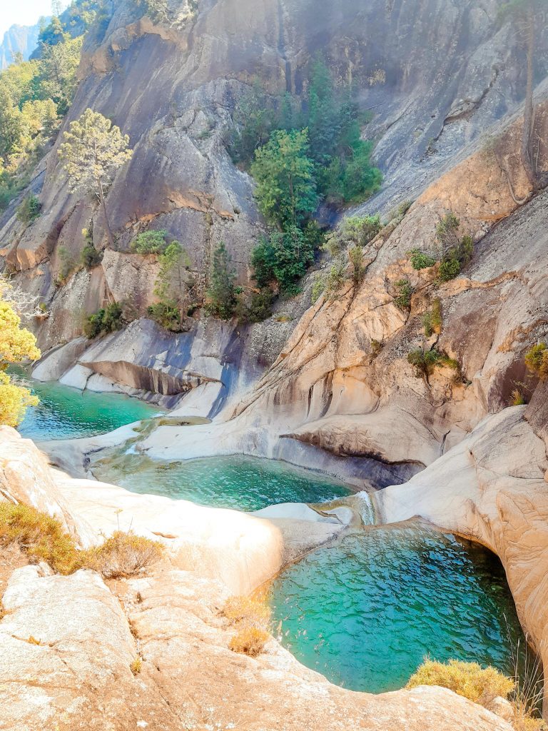 LA PURCARACCIA LA PURCARACCIA