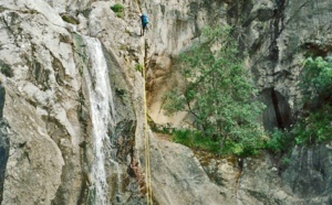 LE SULLEONI LE SULLEONI