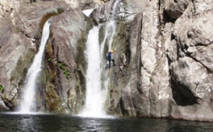 LE TIGNOSO LE TIGNOSO