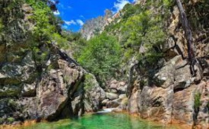 LE PULISCHELLU LE PULISCHELLU