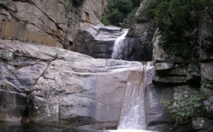 LE VIVAGGIO LE VIVAGGIO