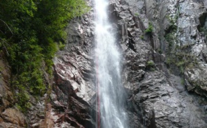 Piscia in Alba Piscia in Alba