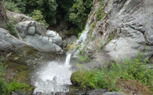 Le Cippetto Le Cippetto