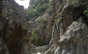 Le Fiumicelli Le Fiumicelli