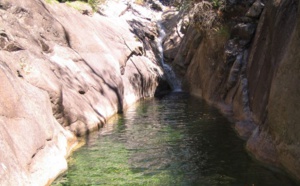 La Leccia Rossa La Leccia Rossa