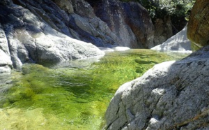 La Pruniccia La Pruniccia