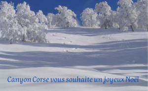 Joyeux Noël 2022