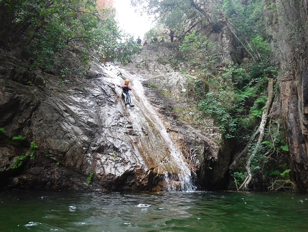 Le-Dardu-integral_a76.html